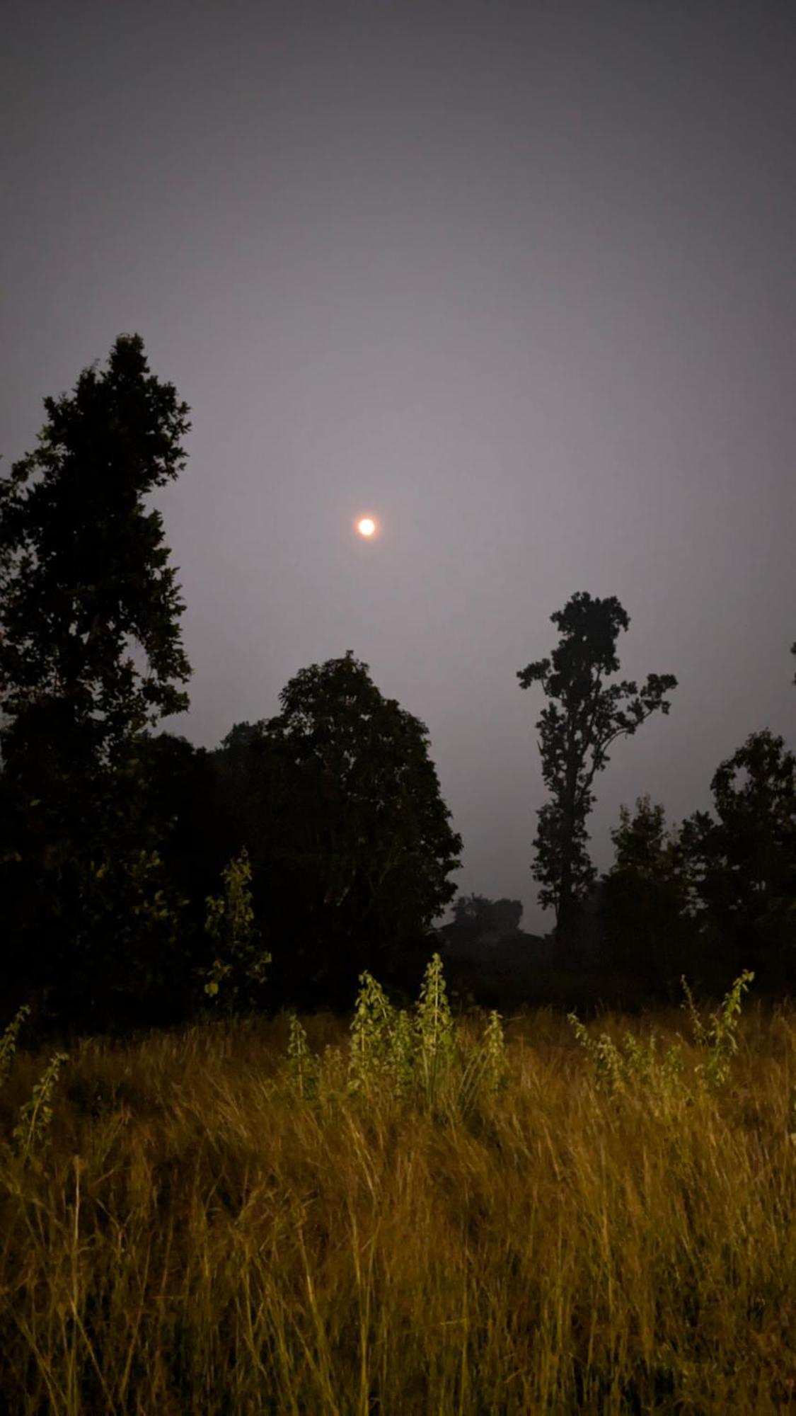 Athulyam Kanha, Kanha National Park, Mukki Gate Khāpa Exteriér fotografie
