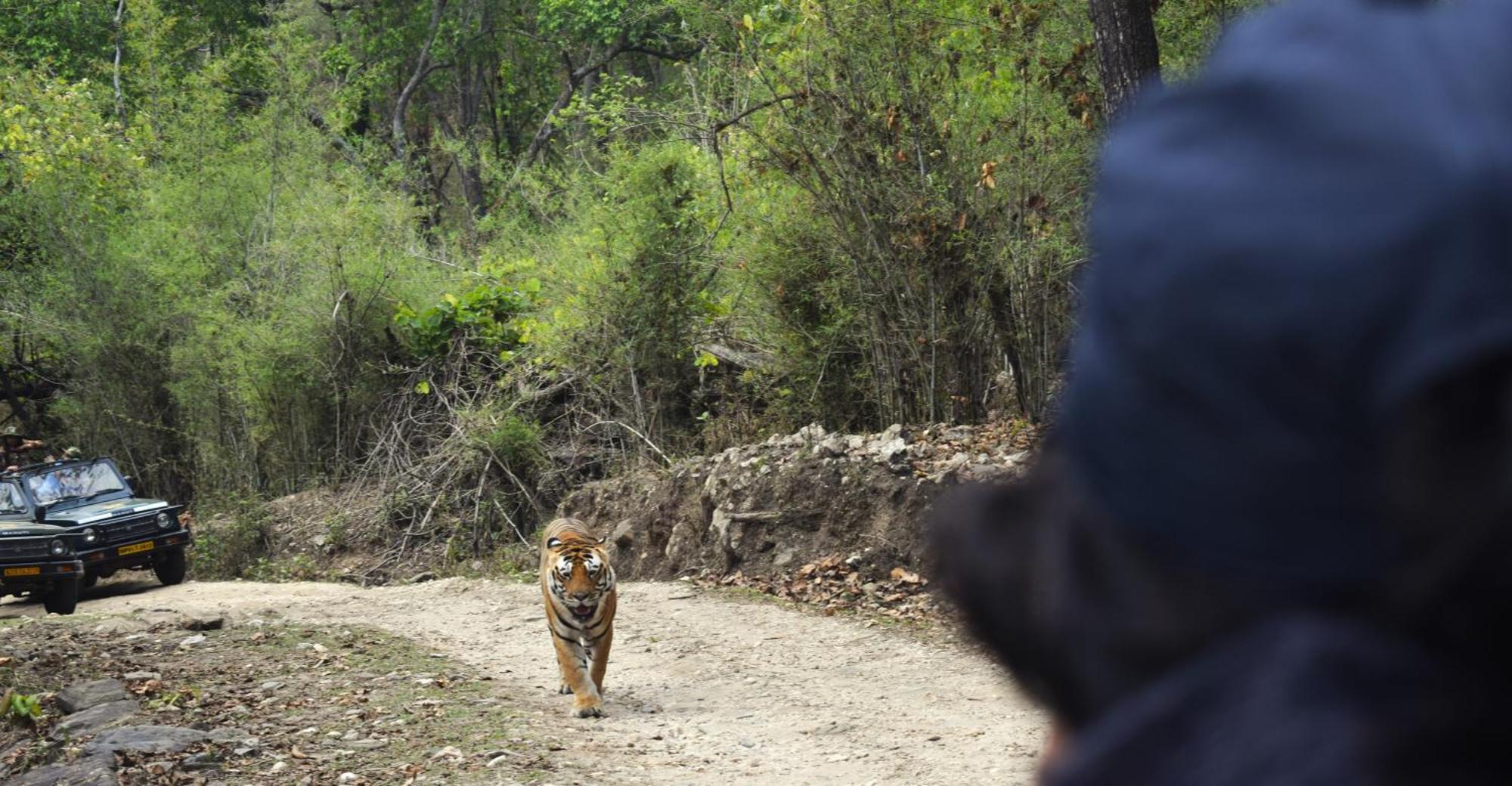 Athulyam Kanha, Kanha National Park, Mukki Gate Khāpa Exteriér fotografie
